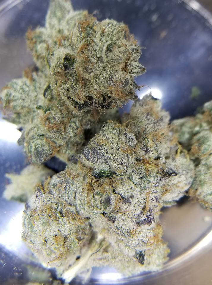 Medical Marijuana Northeast Maryland