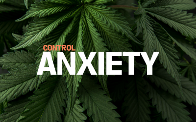 Cannabis for Anxiety and Panic Attacks