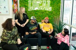 Medical Recreational Dispensary
