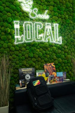 Medical and Rec Cannabis Facilities